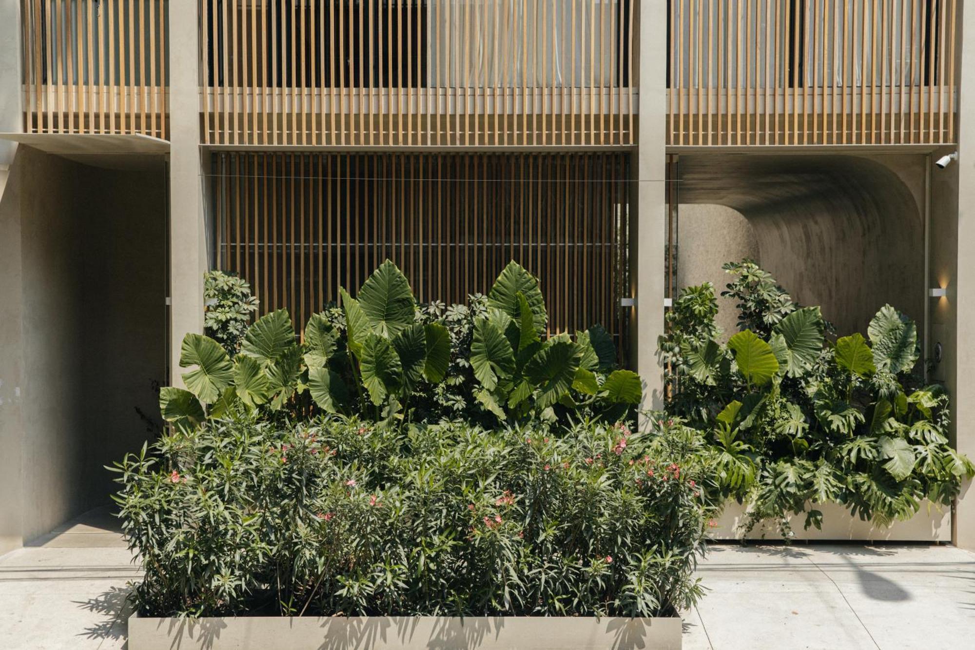 Octavia Casa, Mexico City